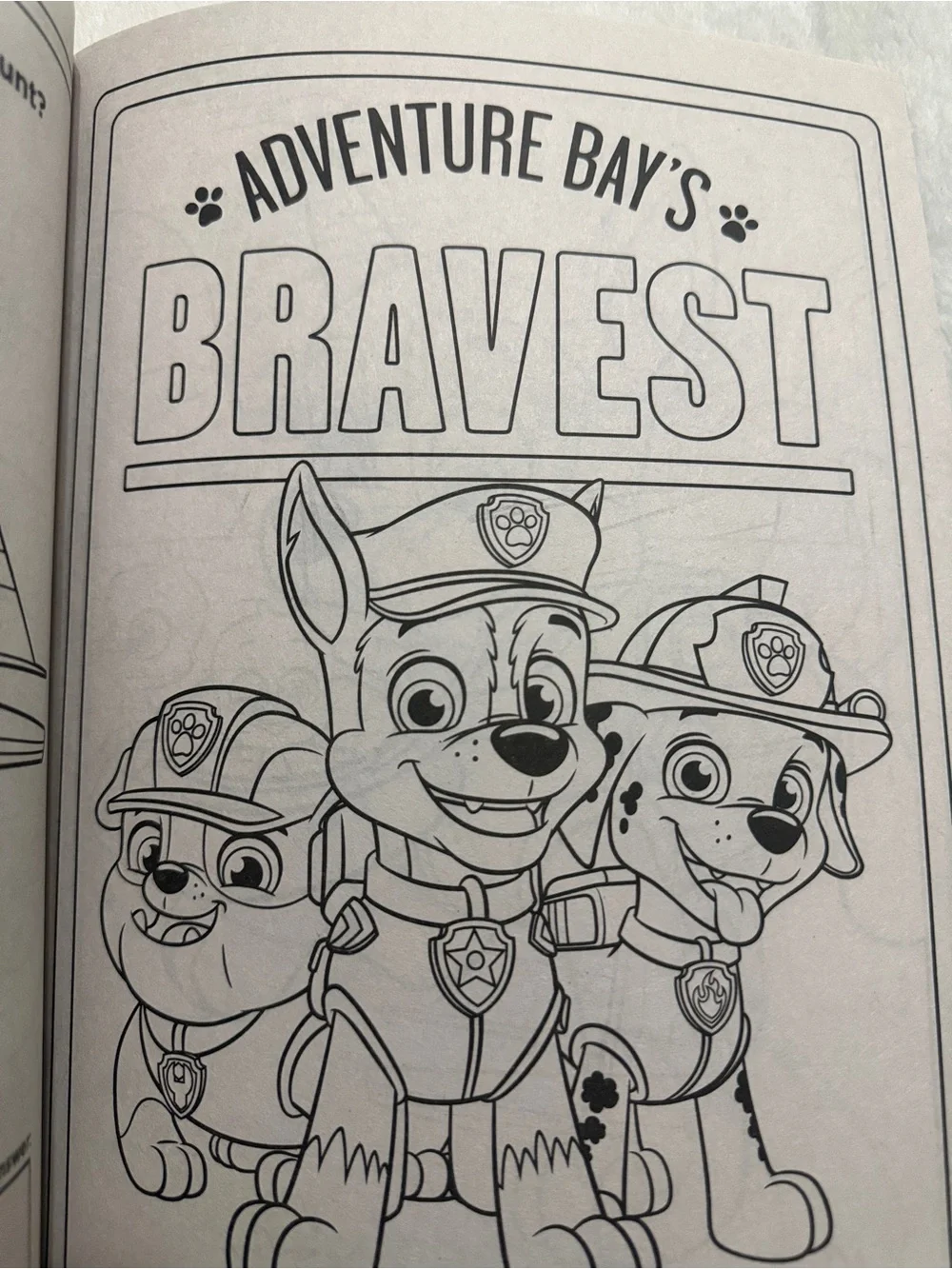 Nickelodeon PAW Patrol Jumbo Coloring Book - Pups Living The Dream